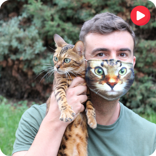 How Alex Earns $200 Every Day by Uploading Cat Videos