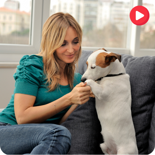 How Chloe Earns $5,500 Monthly by Sharing Her Pet Care Tips on YouTube