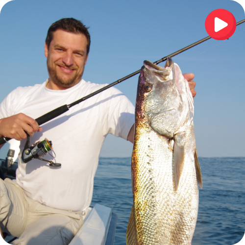 How Tom Earns $10,000 Every Month Just by Uploading Fishing Videos